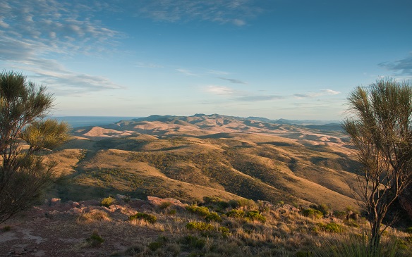 Adelaide - Adelaide