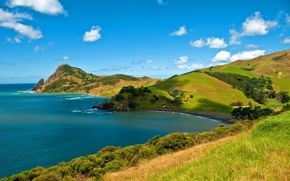 Auckland - Bay of Islands