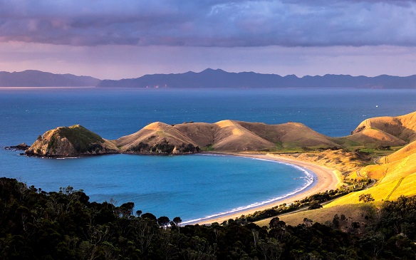 Auckland - Wellington