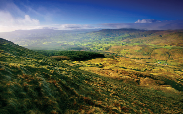 Ierland