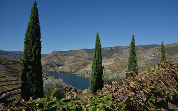 Porto / Douro Vallei