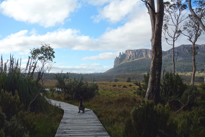 Tasmanië