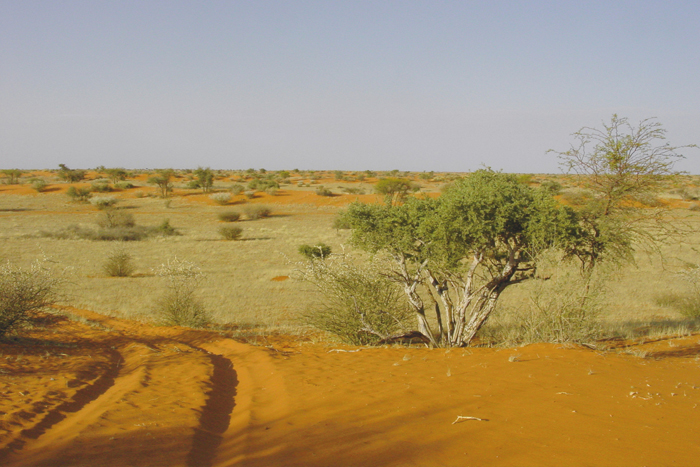 Namibië
