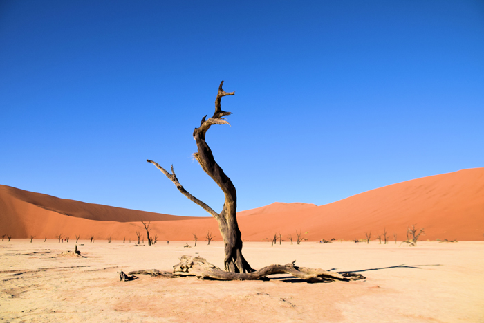 Sossusvlei Namibië