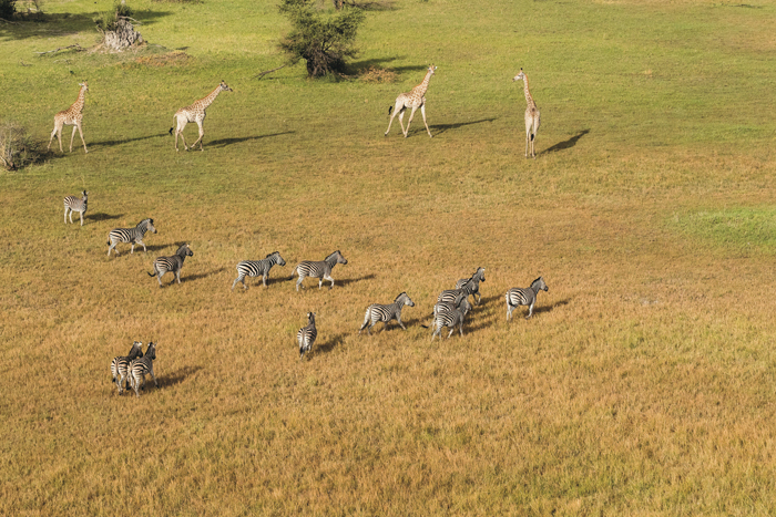 Botswana