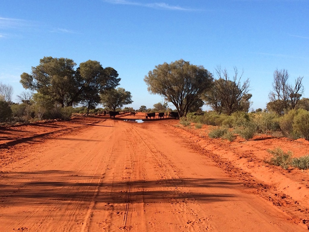 Australië