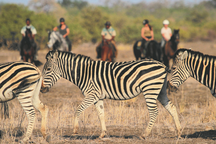 Chobe National Park
