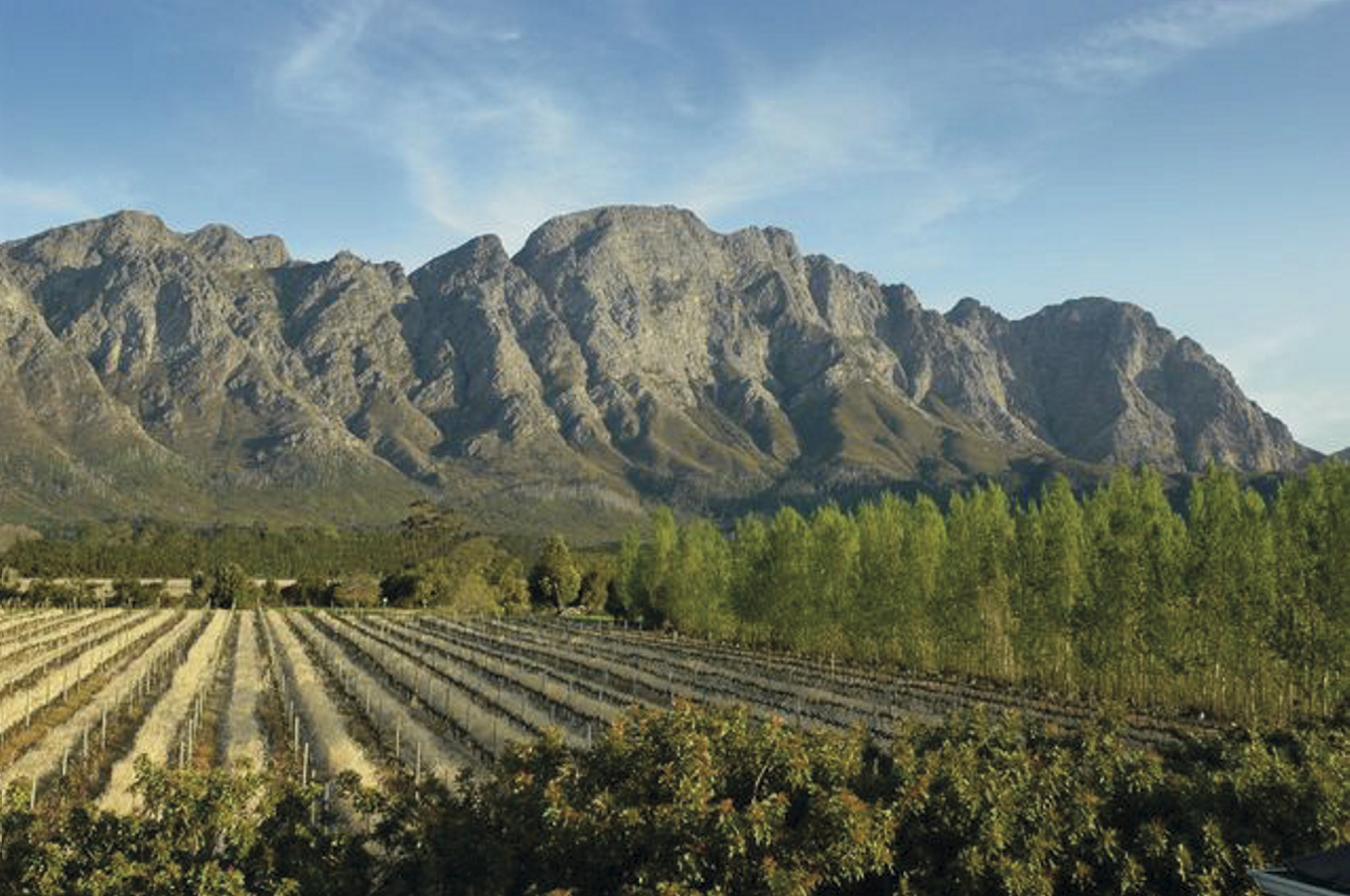Zuid Afrika