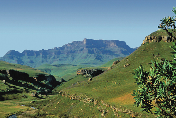 Zuid Afrika