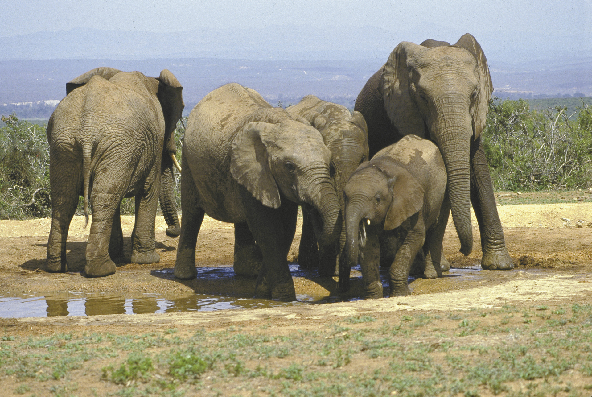 Etosha National Park Etosha National Park