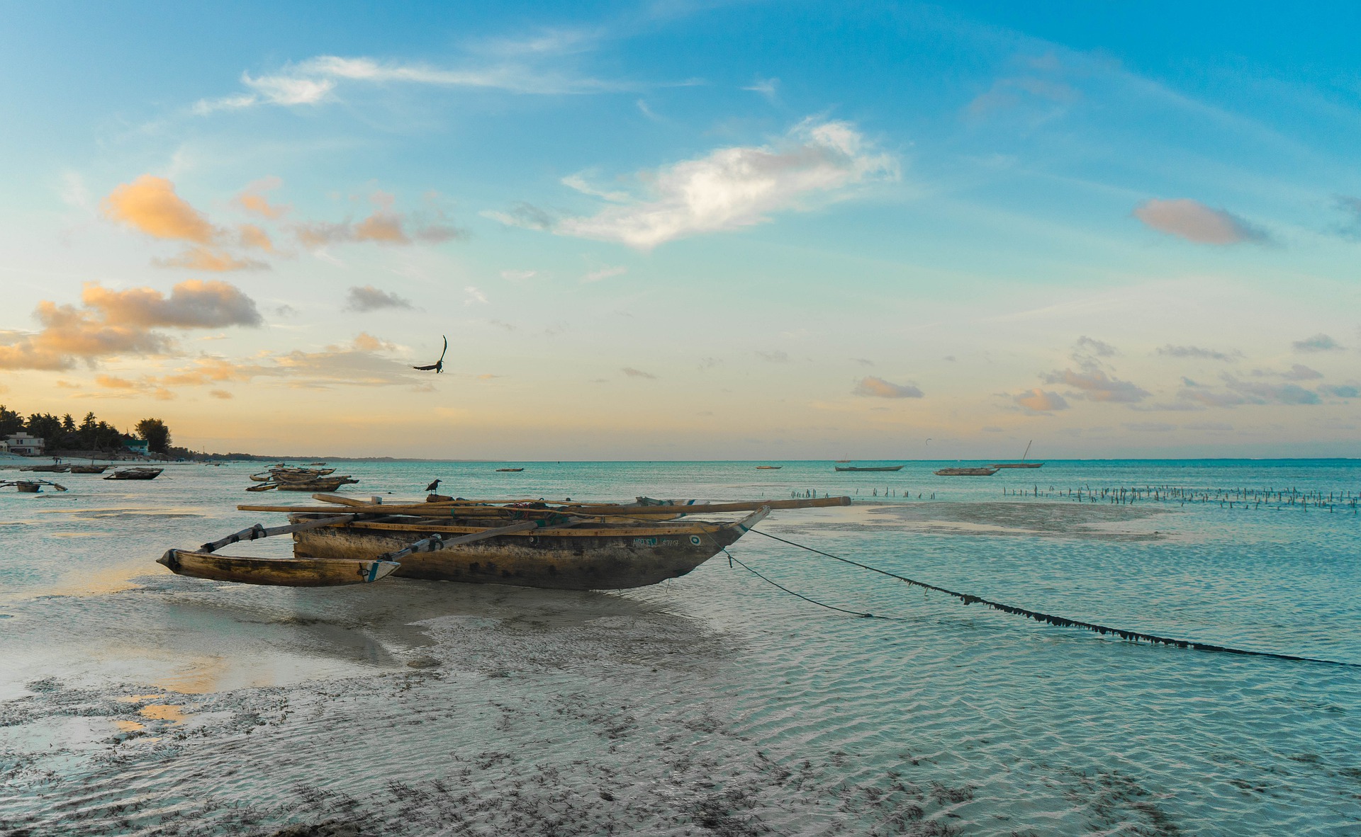 Ontdek Mozambique en Zuid-Afrika