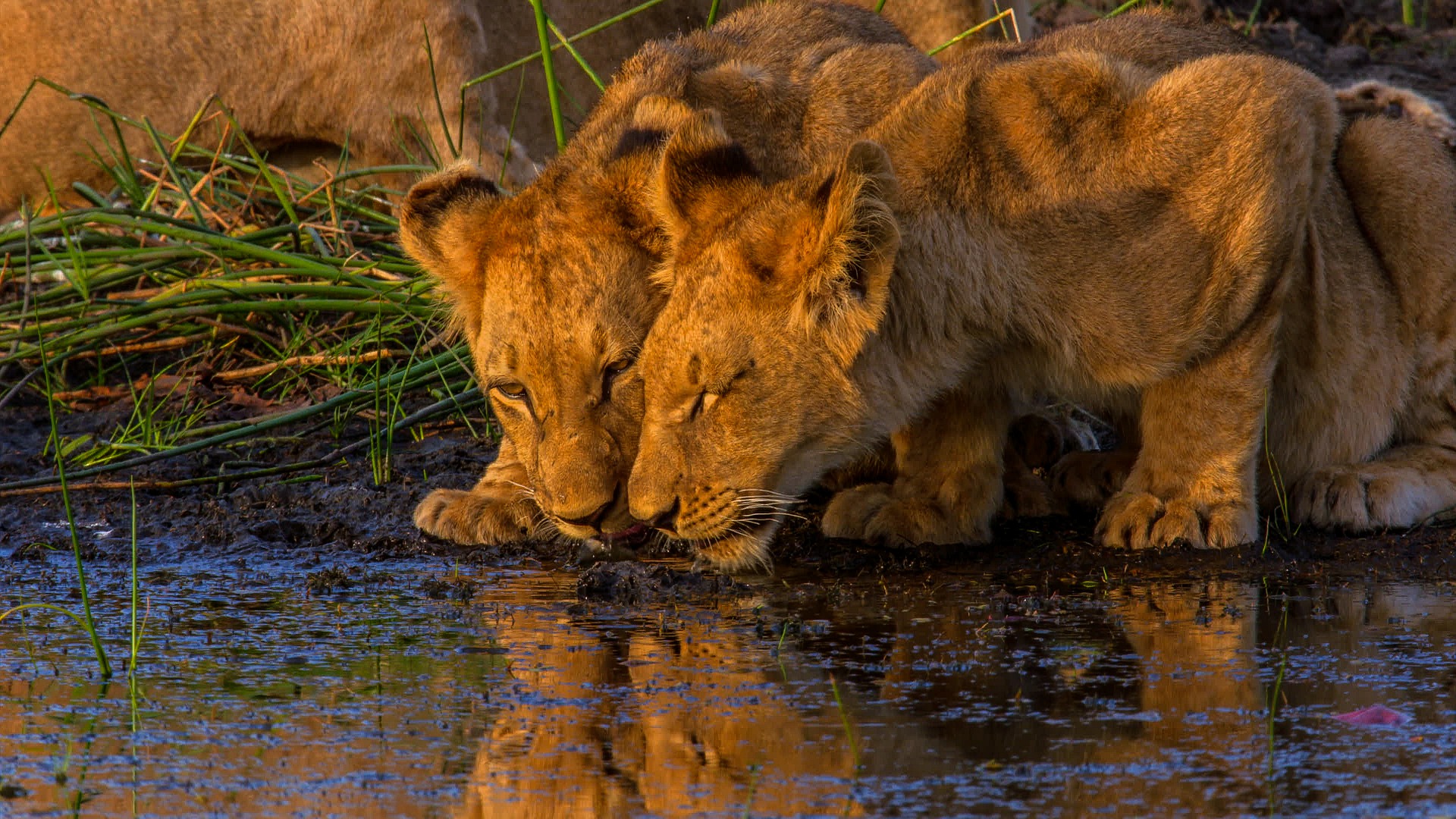 Botswana