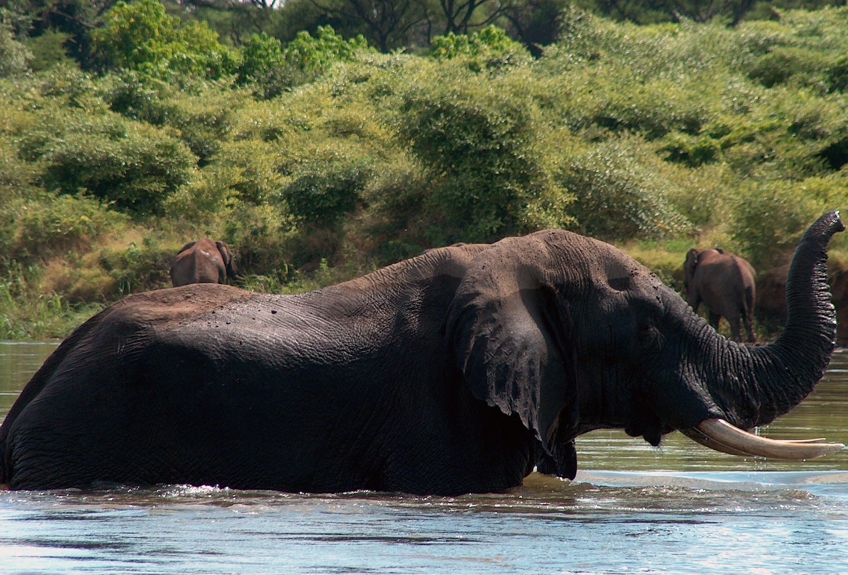 Zambia