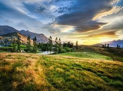 New Zealand